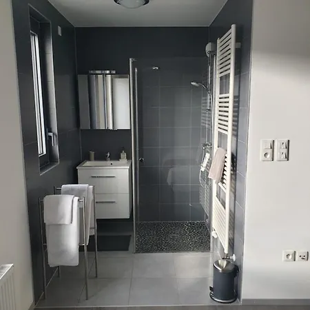 Attic Pour 4 Personnes Munster