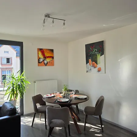 Attic Pour 4 Personnes * Munster (Haut-Rhin)